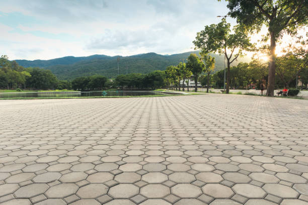 Best Local Driveway Pavers  in Shady Hollow, TX
