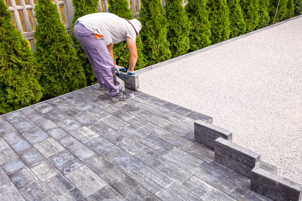 Best Driveway Paving Contractor  in Shady Hollow, TX