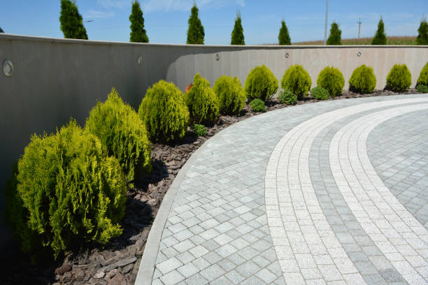 Best Driveway Paving Near Me  in Shady Hollow, TX